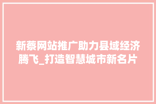 新蔡网站推广助力县域经济腾飞_打造智慧城市新名片
