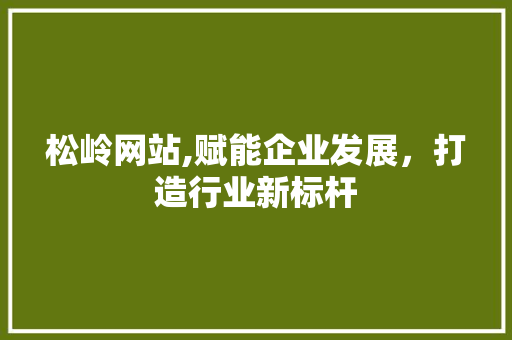 松岭网站,赋能企业发展，打造行业新标杆