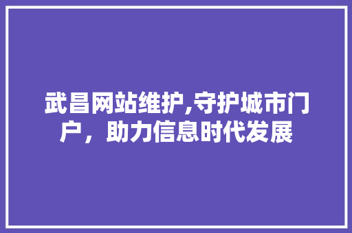 武昌网站维护,守护城市门户，助力信息时代发展