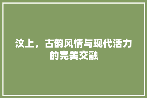 汶上，古韵风情与现代活力的完美交融