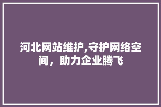 河北网站维护,守护网络空间，助力企业腾飞