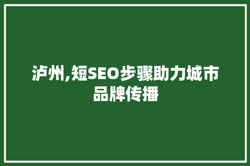 泸州,短SEO步骤助力城市品牌传播