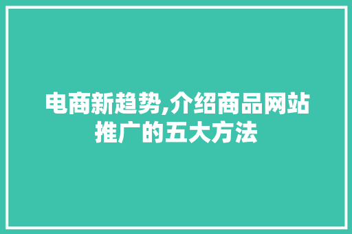 电商新趋势,介绍商品网站推广的五大方法