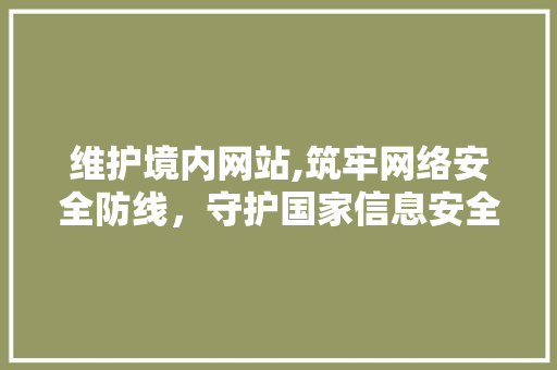 维护境内网站,筑牢网络安全防线，守护国家信息安全