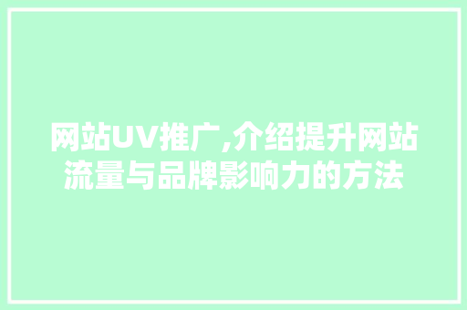 网站UV推广,介绍提升网站流量与品牌影响力的方法