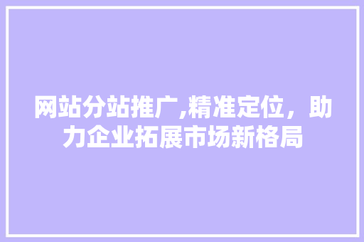 网站分站推广,精准定位，助力企业拓展市场新格局