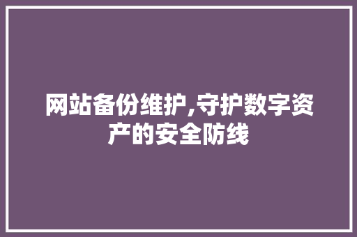 网站备份维护,守护数字资产的安全防线