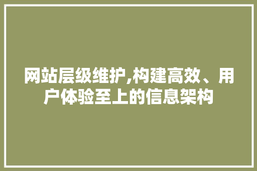 网站层级维护,构建高效、用户体验至上的信息架构
