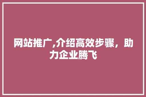 网站推广,介绍高效步骤，助力企业腾飞