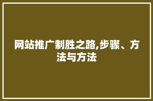网站推广制胜之路,步骤、方法与方法