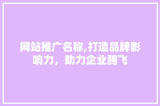 网站推广名称,打造品牌影响力，助力企业腾飞