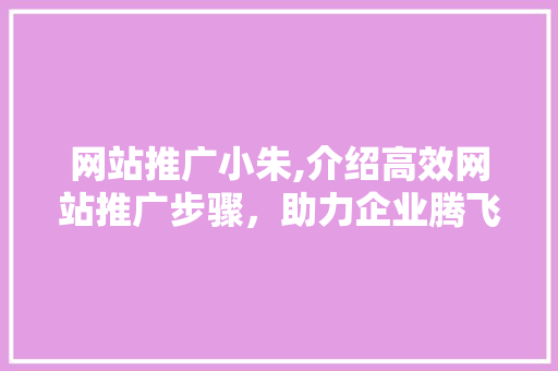 网站推广小朱,介绍高效网站推广步骤，助力企业腾飞