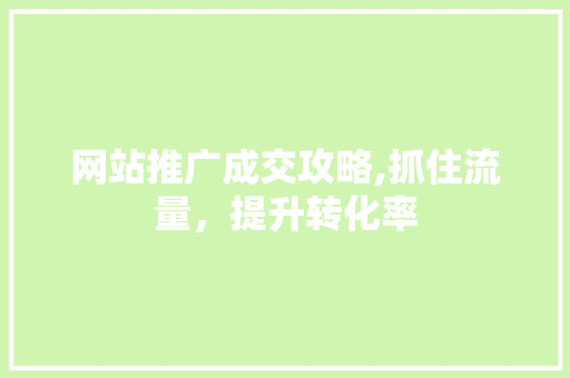 网站推广成交攻略,抓住流量，提升转化率