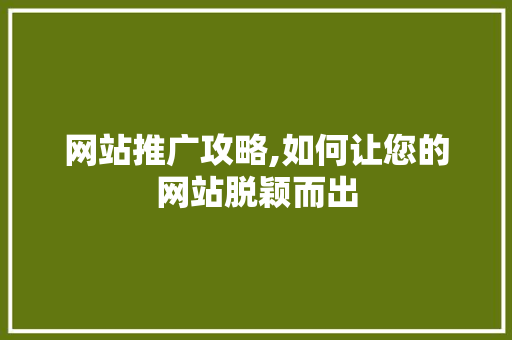 网站推广攻略,如何让您的网站脱颖而出