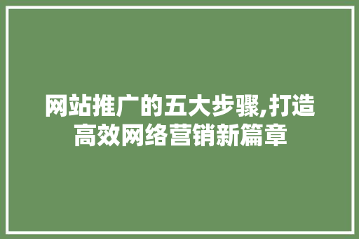网站推广的五大步骤,打造高效网络营销新篇章