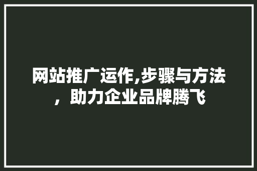 网站推广运作,步骤与方法，助力企业品牌腾飞