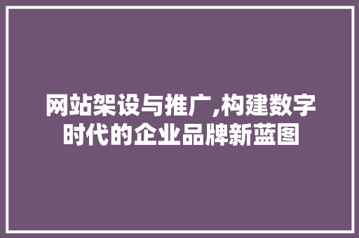 网站架设与推广,构建数字时代的企业品牌新蓝图