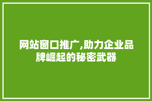 网站窗口推广,助力企业品牌崛起的秘密武器