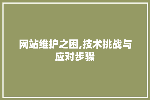 网站维护之困,技术挑战与应对步骤