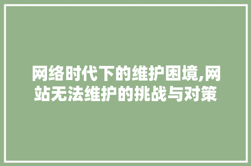 网络时代下的维护困境,网站无法维护的挑战与对策