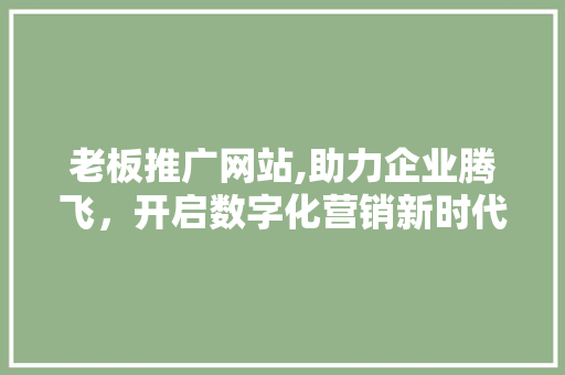 老板推广网站,助力企业腾飞，开启数字化营销新时代