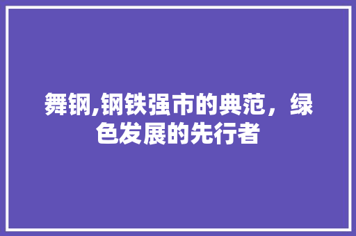舞钢,钢铁强市的典范，绿色发展的先行者
