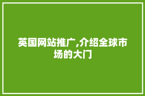英国网站推广,介绍全球市场的大门