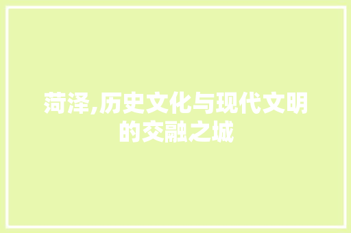 菏泽,历史文化与现代文明的交融之城