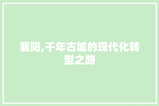 襄阳,千年古城的现代化转型之路