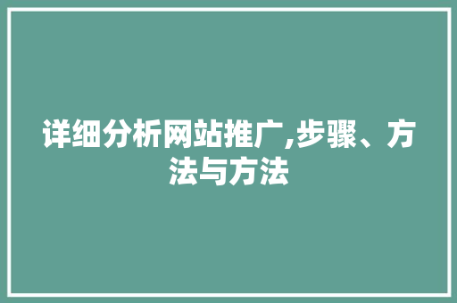 详细分析网站推广,步骤、方法与方法