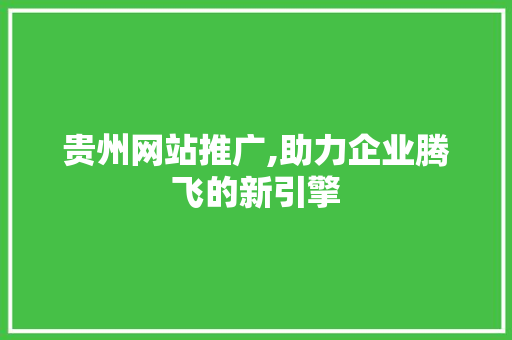 贵州网站推广,助力企业腾飞的新引擎