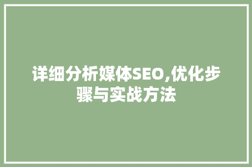 详细分析媒体SEO,优化步骤与实战方法
