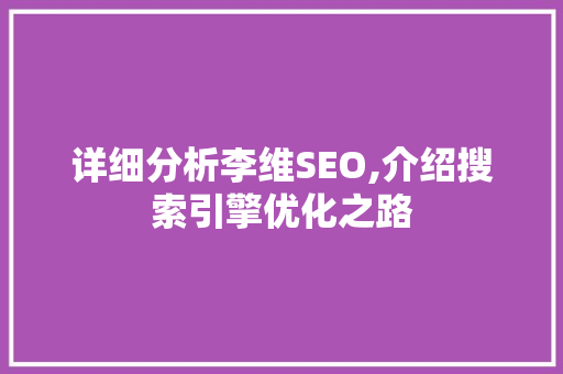详细分析李维SEO,介绍搜索引擎优化之路