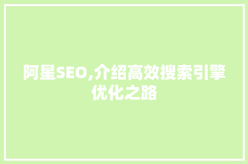 阿星SEO,介绍高效搜索引擎优化之路