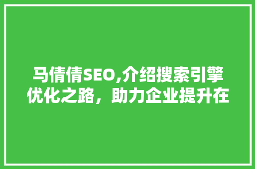 马倩倩SEO,介绍搜索引擎优化之路，助力企业提升在线竞争力