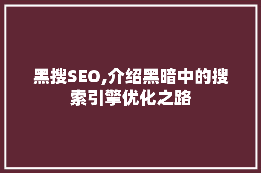 黑搜SEO,介绍黑暗中的搜索引擎优化之路