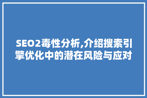 SEO2毒性分析,介绍搜索引擎优化中的潜在风险与应对步骤