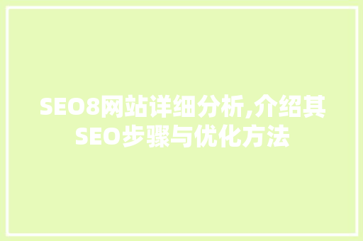 SEO8网站详细分析,介绍其SEO步骤与优化方法