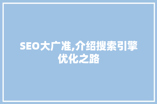 SEO大广准,介绍搜索引擎优化之路