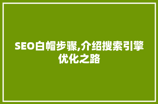 SEO白帽步骤,介绍搜索引擎优化之路