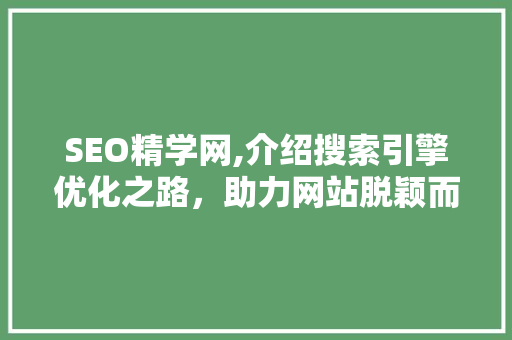 SEO精学网,介绍搜索引擎优化之路，助力网站脱颖而出