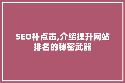 SEO补点击,介绍提升网站排名的秘密武器