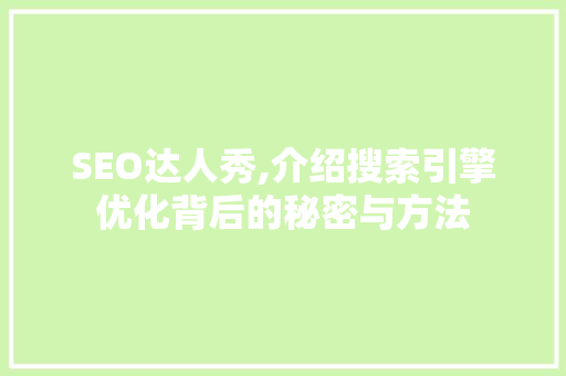 SEO达人秀,介绍搜索引擎优化背后的秘密与方法