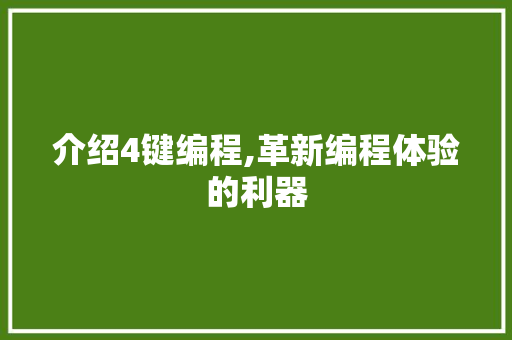 介绍4键编程,革新编程体验的利器