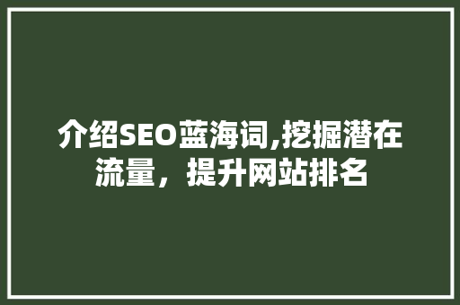介绍SEO蓝海词,挖掘潜在流量，提升网站排名