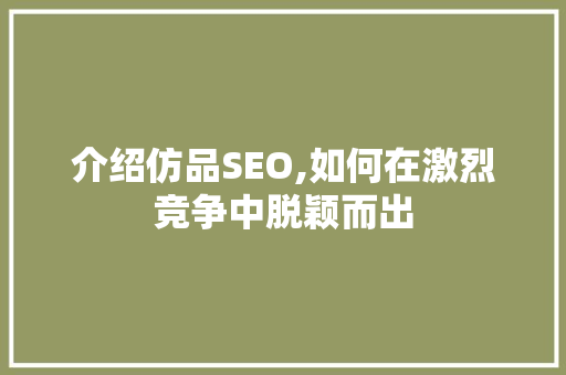 介绍仿品SEO,如何在激烈竞争中脱颖而出