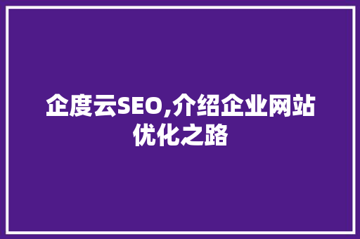 企度云SEO,介绍企业网站优化之路