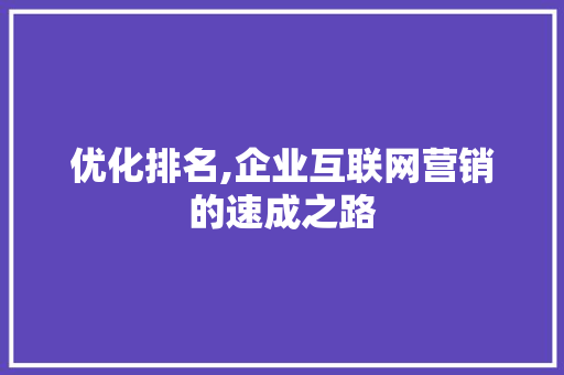 优化排名,企业互联网营销的速成之路