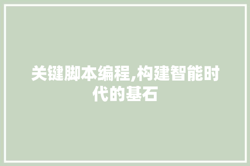 关键脚本编程,构建智能时代的基石
