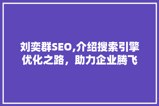 刘奕群SEO,介绍搜索引擎优化之路，助力企业腾飞
